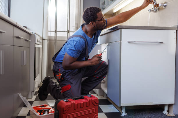 Best Toilet Repair Services  in Serenada, TX